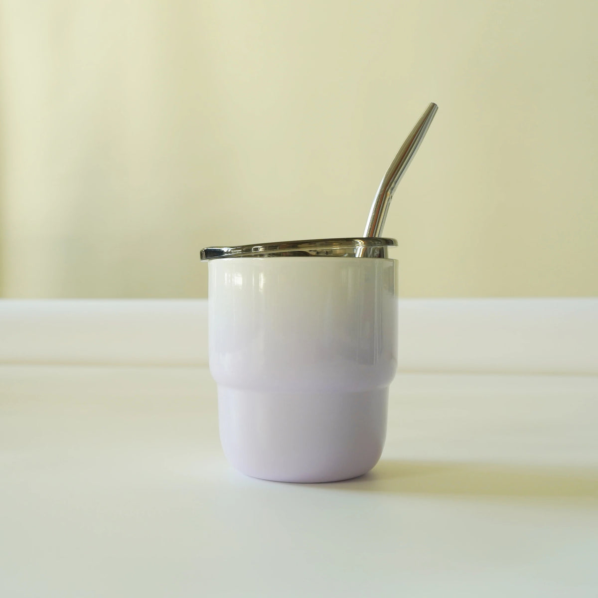 304 Stainless Steel Double-Wall Vacuum Insulated Cup, Coffee Mug, Yerba Mate Cup with Straw, 255ml