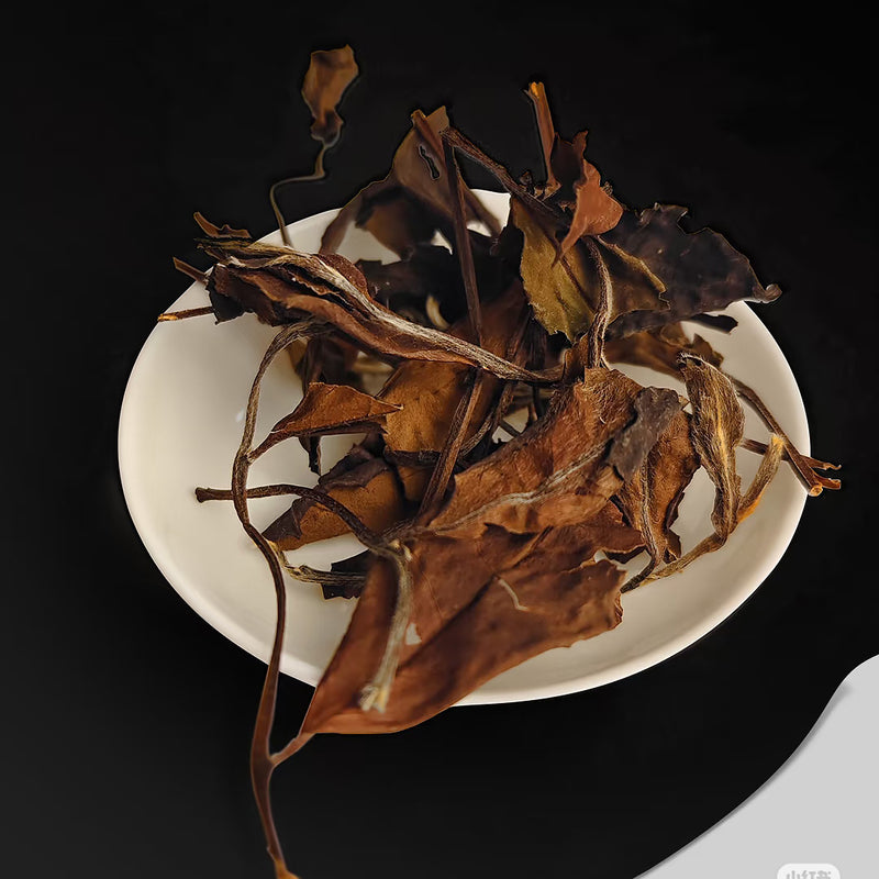 2011-2013 Wild Arbor Aged Tea - Fuding Kung-Mee White Tea 500g Loose Leaf 