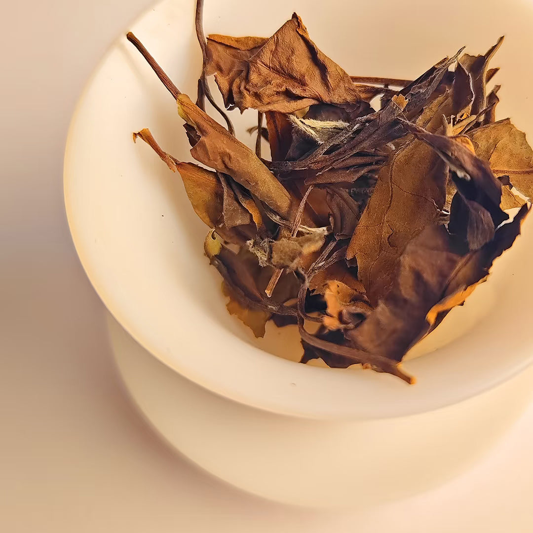 2011-2013 Wild Arbor Aged Tea - Fuding Kung-Mee White Tea 500g Loose Leaf 