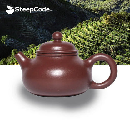 Yixing "Breathing Teapot" – 150ml Zhu Ni Clay Masterpiece, Artisan Teapot, Zisha Teapot