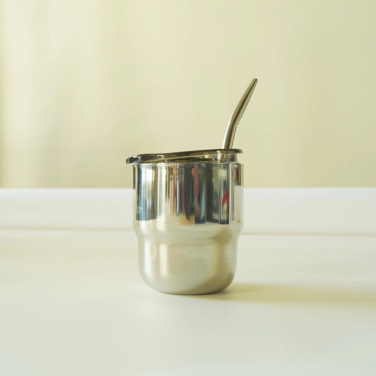 304 Stainless Steel Double-Wall Vacuum Insulated Cup, Coffee Mug, Yerba Mate Cup with Straw, 255ml