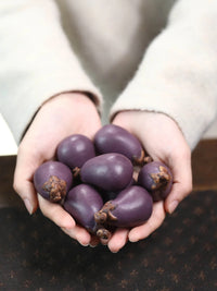 Tea Pet: A Purple Clay Ceramic Decoration for Your Tea Table